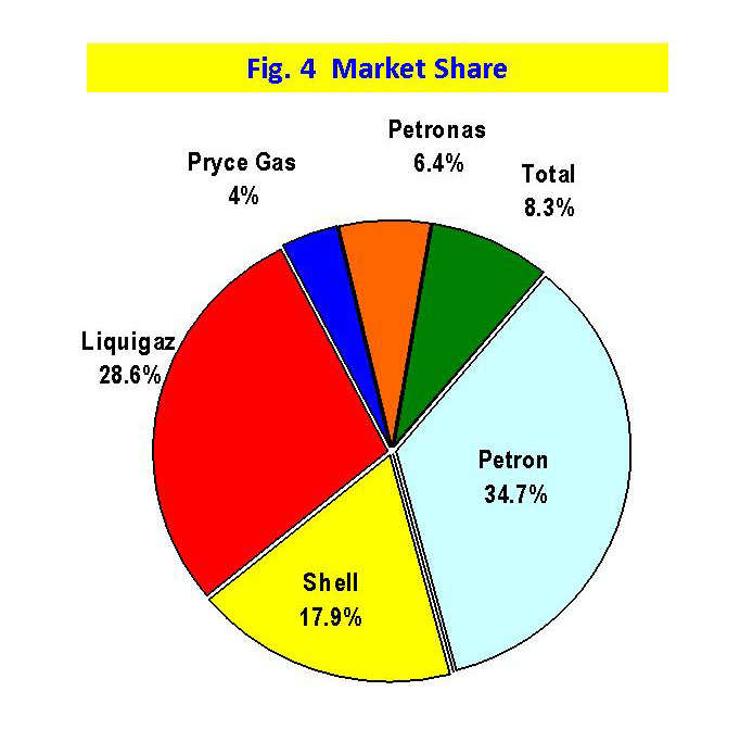 Figure 4 Market Share