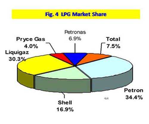 Figure 4 LPG Market Share