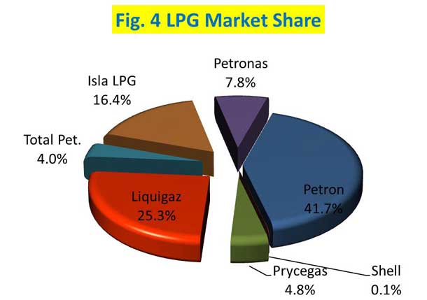 Fig. 4 LPG Market Share