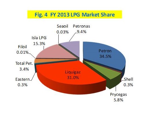 Figure 4. FY 2013 LPG Market Share