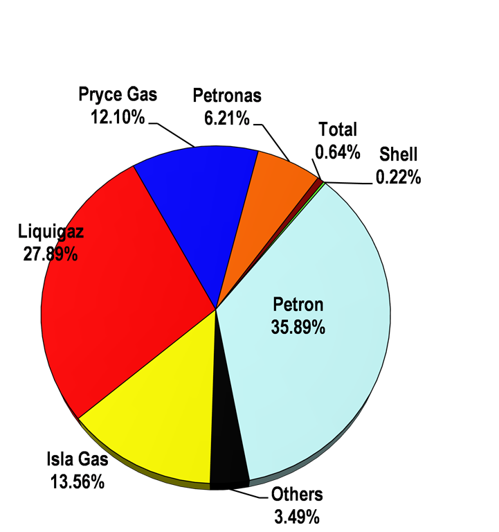 Figure 4 FY 2015 LPG Market Share