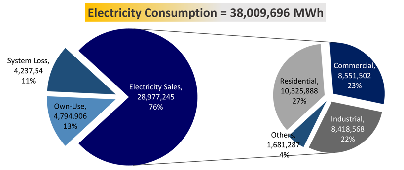 Image of Electricity Consumption for January to June 2016 Philippine Power Demand